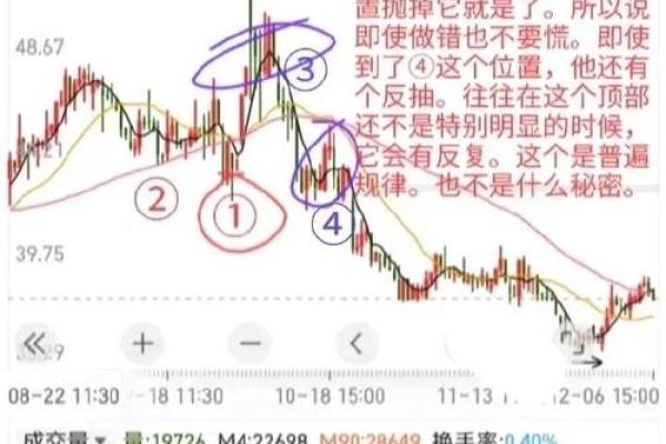 股票收益率计算方法及实用技巧解析